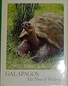 Galapagos: The Flow of Wildness: 2. Prospect