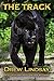The Track (Ben Hood Thrille...