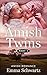The Amish Twins, Part 1