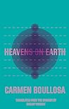 Heavens on Earth