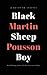 Black Sheep Boy: A Novel in...