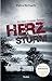 Herzsturm (Sara Cooper, #6)
