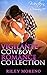 Vigilante Cowboy Romance Collection