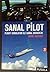 Sanal Pilot: Flight Simulat...