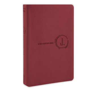 Holy Bible: Nlt Jesus-centered Bible, Cranberry (Paperback)