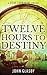 Twelve Hours To Destiny (Steve Carradine #4)