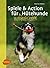 Spiele und Action für ausgeglichene Hütehunde: Border Collie, Australian Shepherd und Co. rassegerecht auslasten (German Edition)