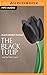 Black Tulip, The