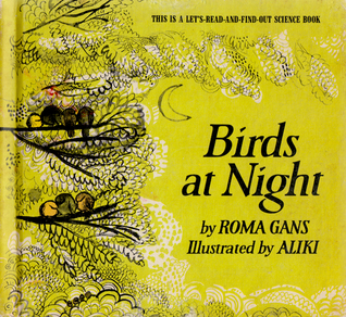 Birds at Night