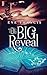 The Big Reveal by Eve Francis