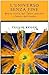 L'universo senza fine: Breve storia del Tutto: passato e futuro del cosmo
