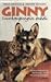 Ginny, suurkaupungin enkeli by Philip González