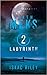 Labyrinth (Death Meks #2)