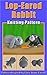 Lop-Eared Rabbit Knitting Pattern