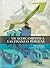 Un Acercamiento a las Finanzas Públicas
