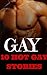 GAY: 10 Hot Gay Stories