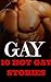GAY by Hot Collections