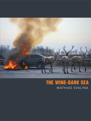 The Wine-Dark Sea (Paperback)