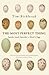 The Most Perfect Thing: Inside (and Outside) a Bird's Egg