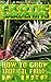 Exotic Gardening: How To Grow Tropical Fruits In USA.: (Organic Gardening, Vegetables,Herbs,Beginners Gardening, Vegetable Gardening) (Homesteading and Urban Gardening Book 3)