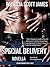 Special Delivery (Novella)