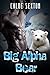 Big Alpha Bear