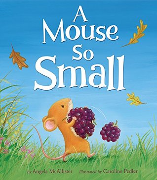 A Mouse So Small (Hardcover)