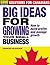 Big Ideas for Growing Your Small Business