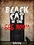 Black Cat in the 666 Room
