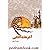 آخر هفته آفتابی