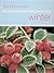 Winter (All Season Guide to Gardening)