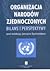 Organizacja Narodów Zjednoczonych - Bilans i perspektywy