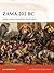 Zama 202 BC by Mir Bahmanyar