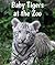 Baby Tigers at the Zoo (All About Baby Zoo Animals)