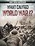 What Caused World War I? (Why War Happened)