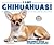 I Like Chihuahuas! (Discover Dogs with the American Canine Association)