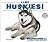 I Like Huskies! (Discover Dogs with the American Canine Association)