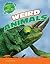 Weird Animals (Animals Are Wild!)