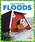 Floods (Disaster Zone)