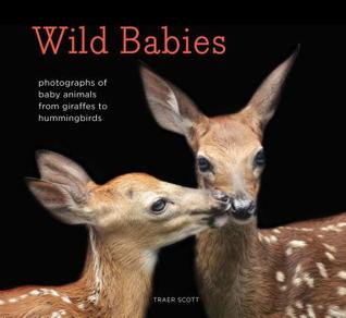 Wild Babies: Photographs of Baby Animals from Giraffes to Hummingbirds (Hardcover)