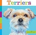 Terriers