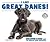 I Like Great Danes! (Discover Dogs with the American Canine Association)