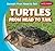 Turtles from Head to Tail (Animals from Head to Tail)