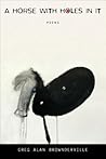 A Horse with Holes in It: Poems (Southern Messenger Poets)