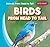 Birds from Head to Tail (Animals from Head to Tail)