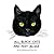 All Black Cats are Not Alike by Amy Goldwasser