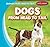Dogs from Head to Tail (Animals from Head to Tail, 3)