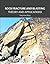 Rock Fracture and Blasting: Theory and Applications (Paperback)