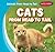 Cats from Head to Tail (Animals from Head to Tail, 2)
