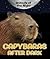Capybaras After Dark (Animals of the Night)